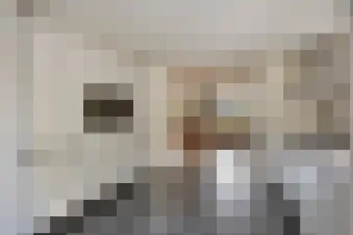 Kuijperstraat 4 Elst thumbnail 19