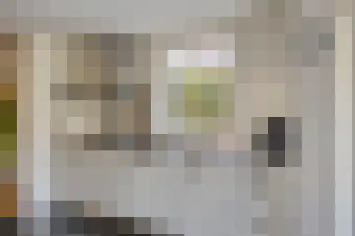 Kuijperstraat 4 Elst thumbnail 20