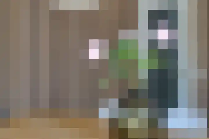 Kuijperstraat 4 Elst thumbnail 23