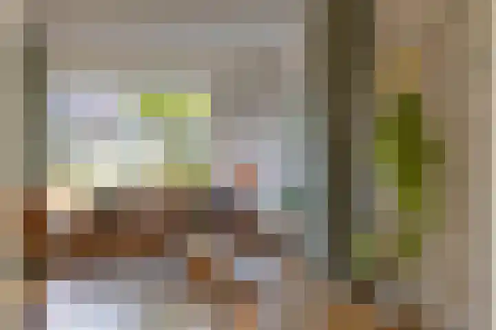 Kuijperstraat 4 Elst thumbnail 24