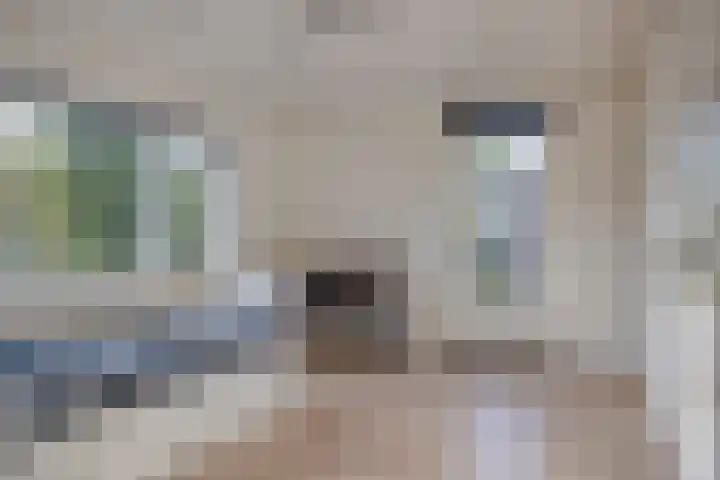 Kuijperstraat 4 Elst thumbnail 34