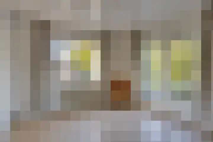 Kuijperstraat 4 Elst thumbnail 39