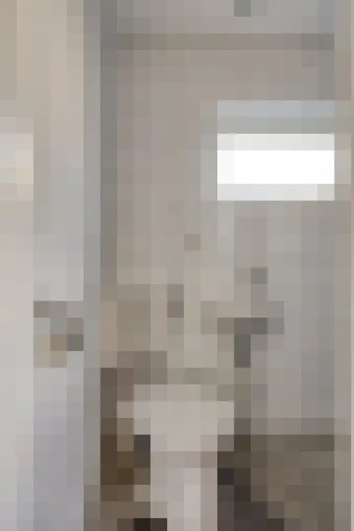 Kuijperstraat 4 Elst thumbnail 41