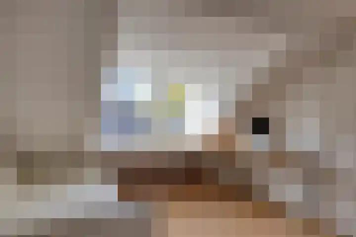 Kuijperstraat 4 Elst thumbnail 47