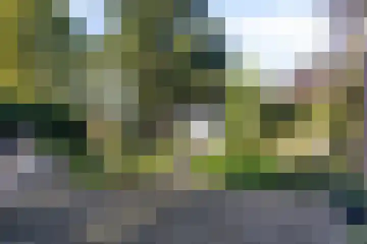 Kuijperstraat 4 Elst thumbnail 48