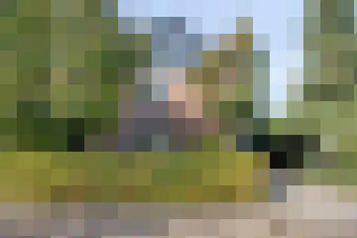 Kuijperstraat 4 Elst thumbnail 5