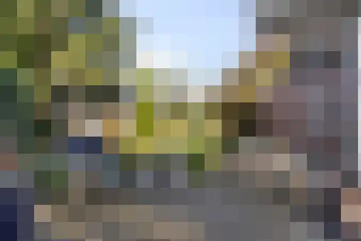 Kuijperstraat 4 Elst thumbnail 51