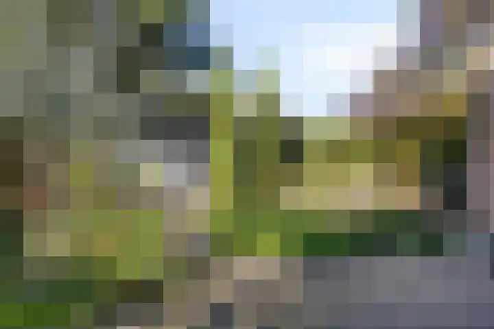 Kuijperstraat 4 Elst thumbnail 52