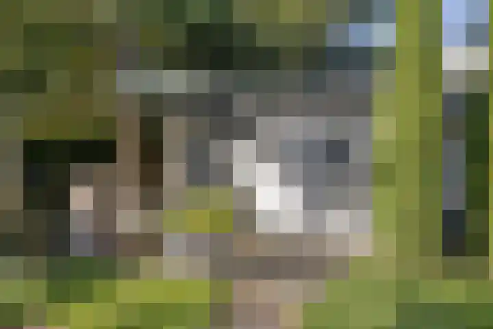 Kuijperstraat 4 Elst thumbnail 53