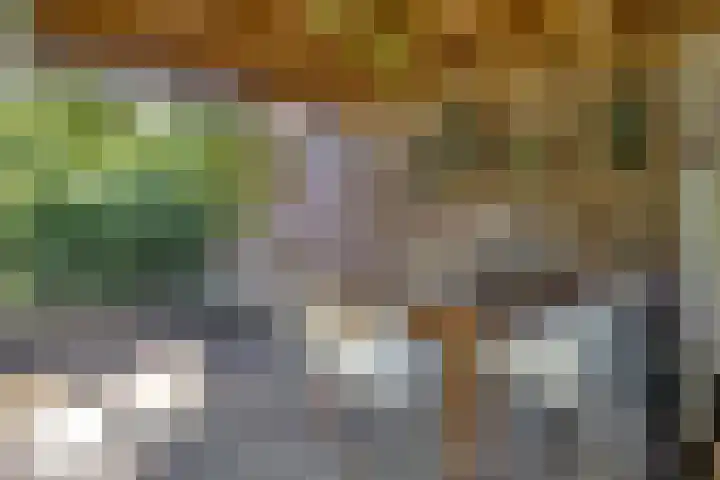 Kuijperstraat 4 Elst thumbnail 54