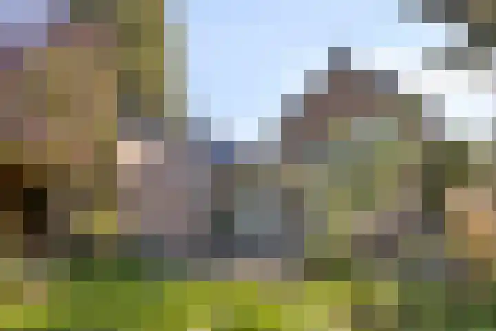 Kuijperstraat 4 Elst thumbnail 56