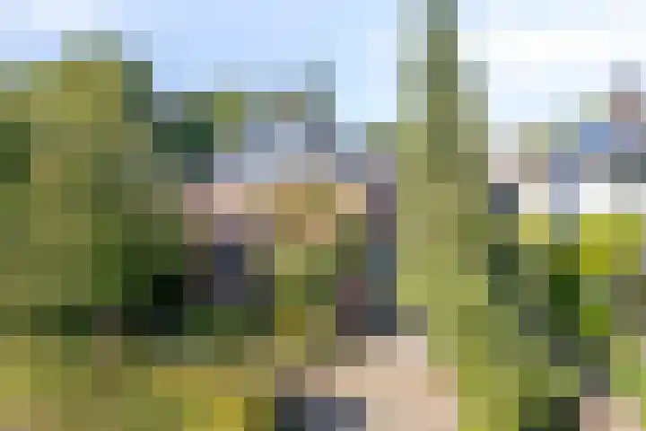 Kuijperstraat 4 Elst thumbnail 57