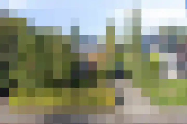 Kuijperstraat 4 Elst thumbnail 58