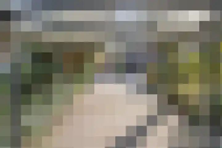 Kuijperstraat 4 Elst thumbnail 7