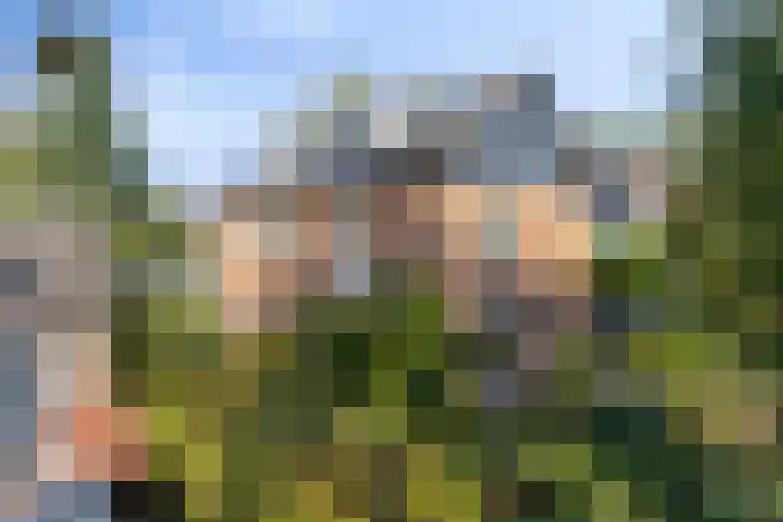 Kuijperstraat 4 Elst thumbnail 8