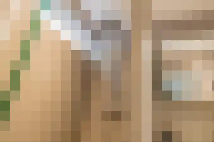 Kuikensweg 157 Beverwijk thumbnail 15
