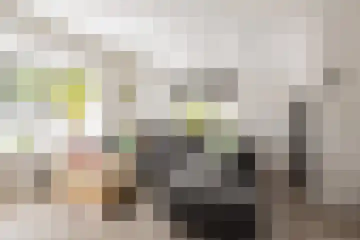 Kuikensweg 157 Beverwijk thumbnail 18
