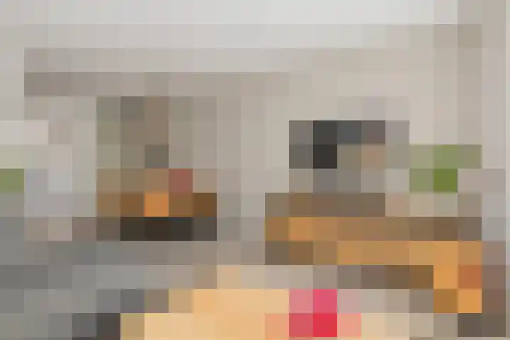Kuikensweg 157 Beverwijk thumbnail 19