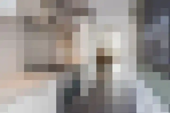 Kuikensweg 157 Beverwijk thumbnail 29