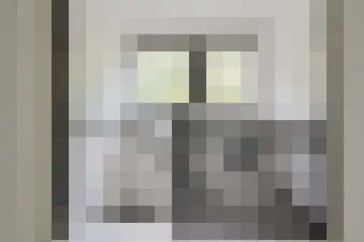 Kuikensweg 157 Beverwijk thumbnail 32