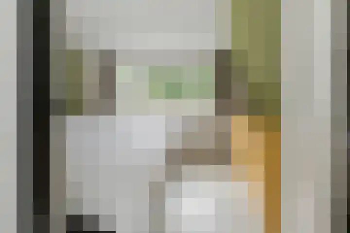 Kuikensweg 157 Beverwijk thumbnail 34