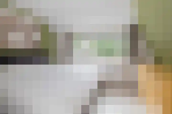 Kuikensweg 157 Beverwijk thumbnail 35