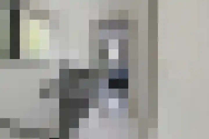 Kuikensweg 157 Beverwijk thumbnail 38