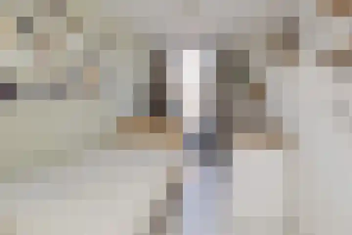 Kuikensweg 157 Beverwijk thumbnail 43