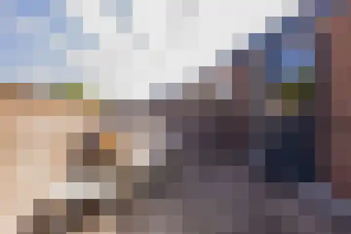 Kuikensweg 157 Beverwijk thumbnail 47