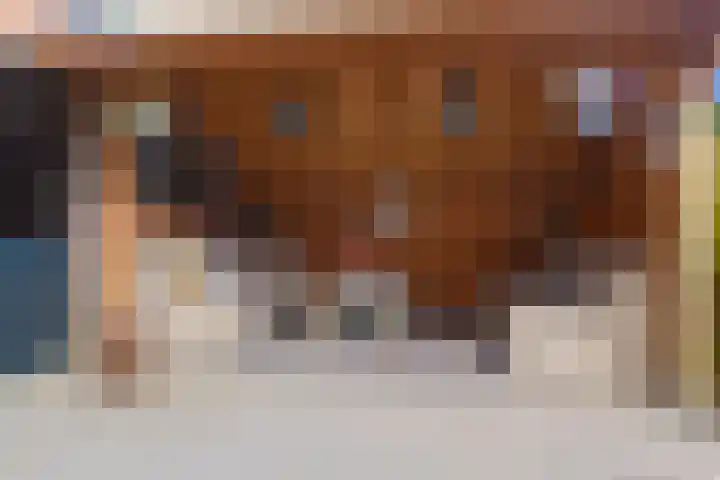 Kuikensweg 157 Beverwijk thumbnail 51
