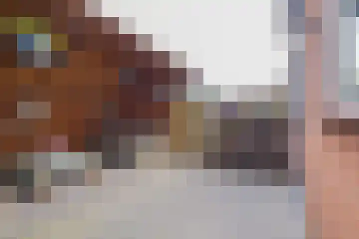 Kuikensweg 157 Beverwijk thumbnail 52
