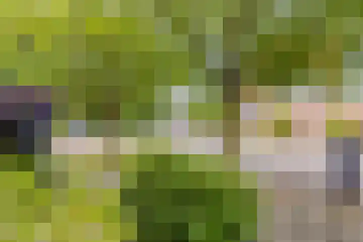 Kuikensweg 157 Beverwijk thumbnail 56