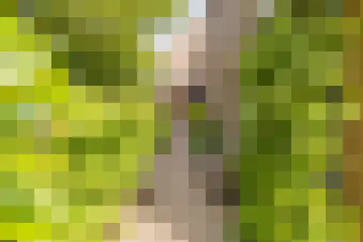 Kuikensweg 157 Beverwijk thumbnail 6