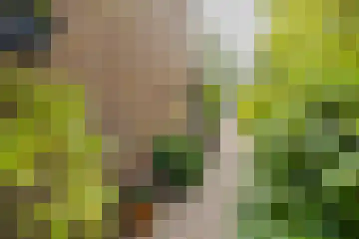 Kuikensweg 157 Beverwijk thumbnail 7