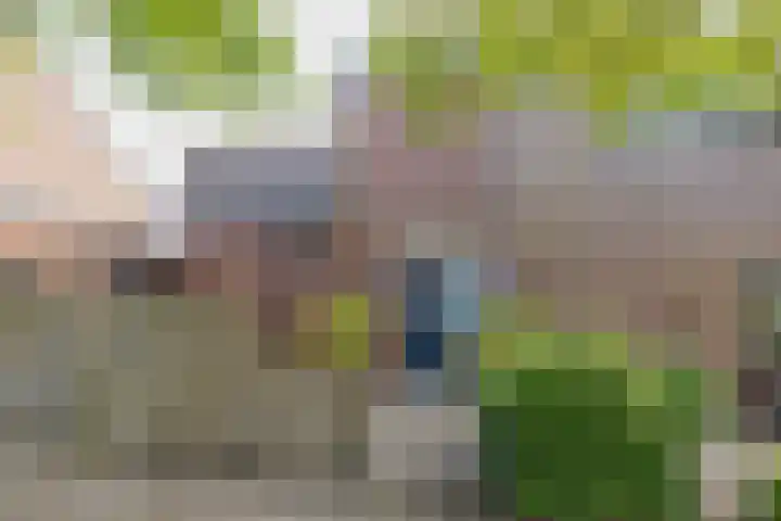 Kuikensweg 157 Beverwijk thumbnail 8