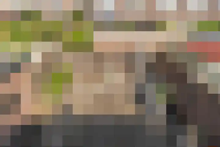 Kuikensweg 165 Beverwijk thumbnail 29