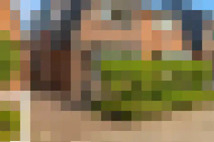 Kuikensweg 165 Beverwijk thumbnail 30