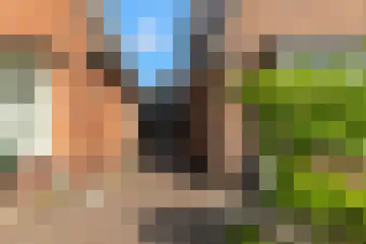 Kuikensweg 165 Beverwijk thumbnail 31