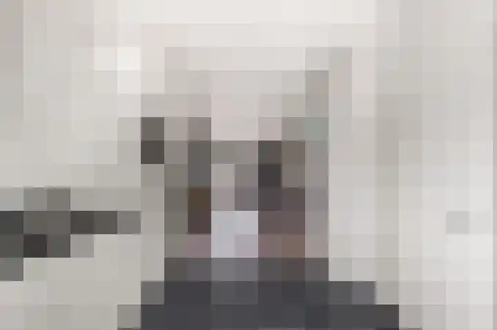 Kuikensweg 173 Beverwijk thumbnail 13
