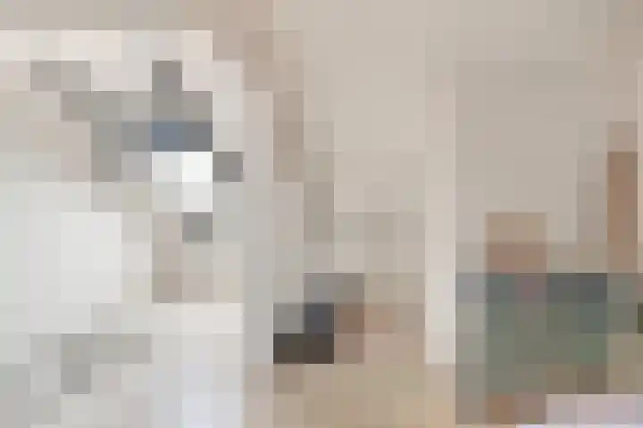 Kuikensweg 173 Beverwijk thumbnail 22