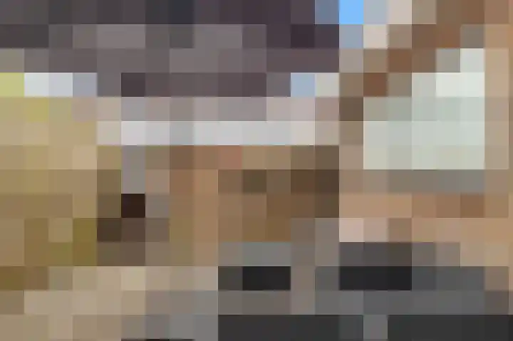 Kuikensweg 173 Beverwijk thumbnail 26