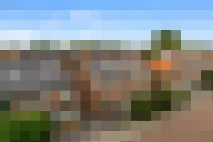Kuikensweg 173 Beverwijk thumbnail 32