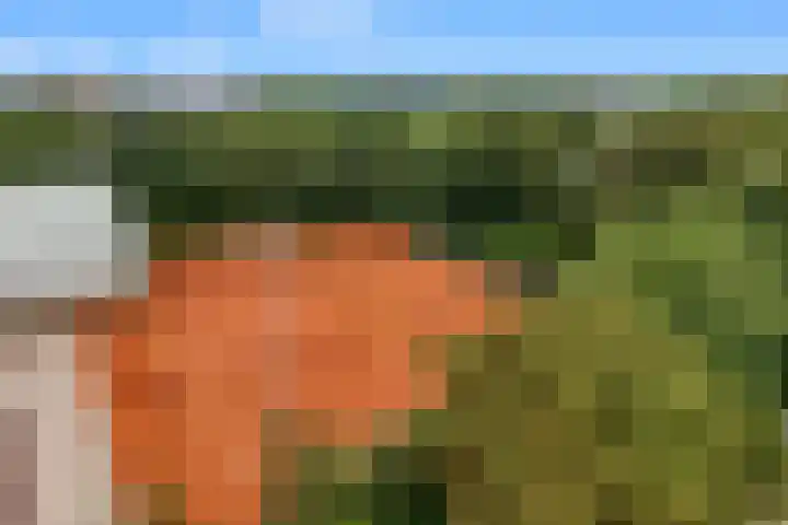 Kuikensweg 173 Beverwijk thumbnail 33