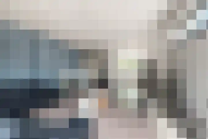 Kuikensweg 173 Beverwijk thumbnail 8