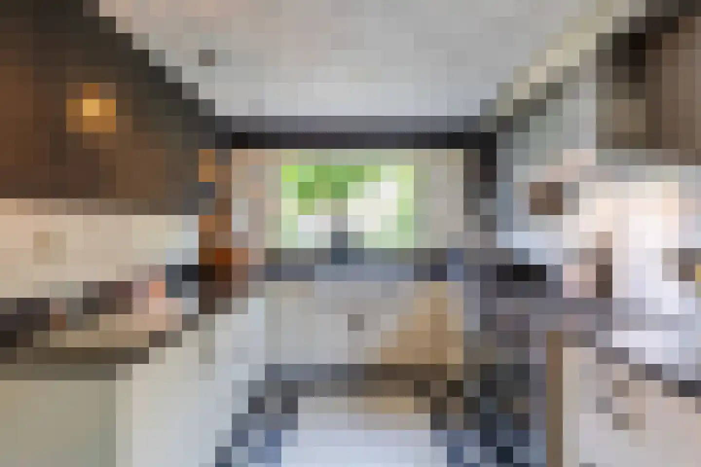 Kuikensweg 20 Beverwijk thumbnail 28