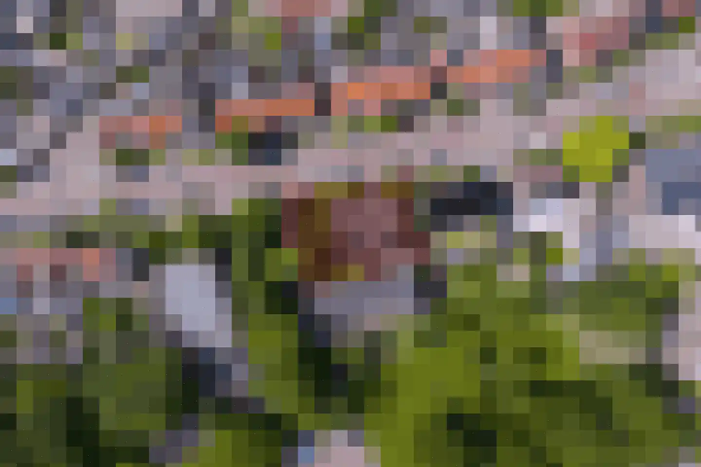 Kuikensweg 20 Beverwijk thumbnail 5