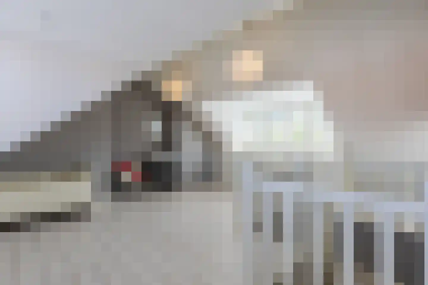 Kuikensweg 20 Beverwijk thumbnail 54