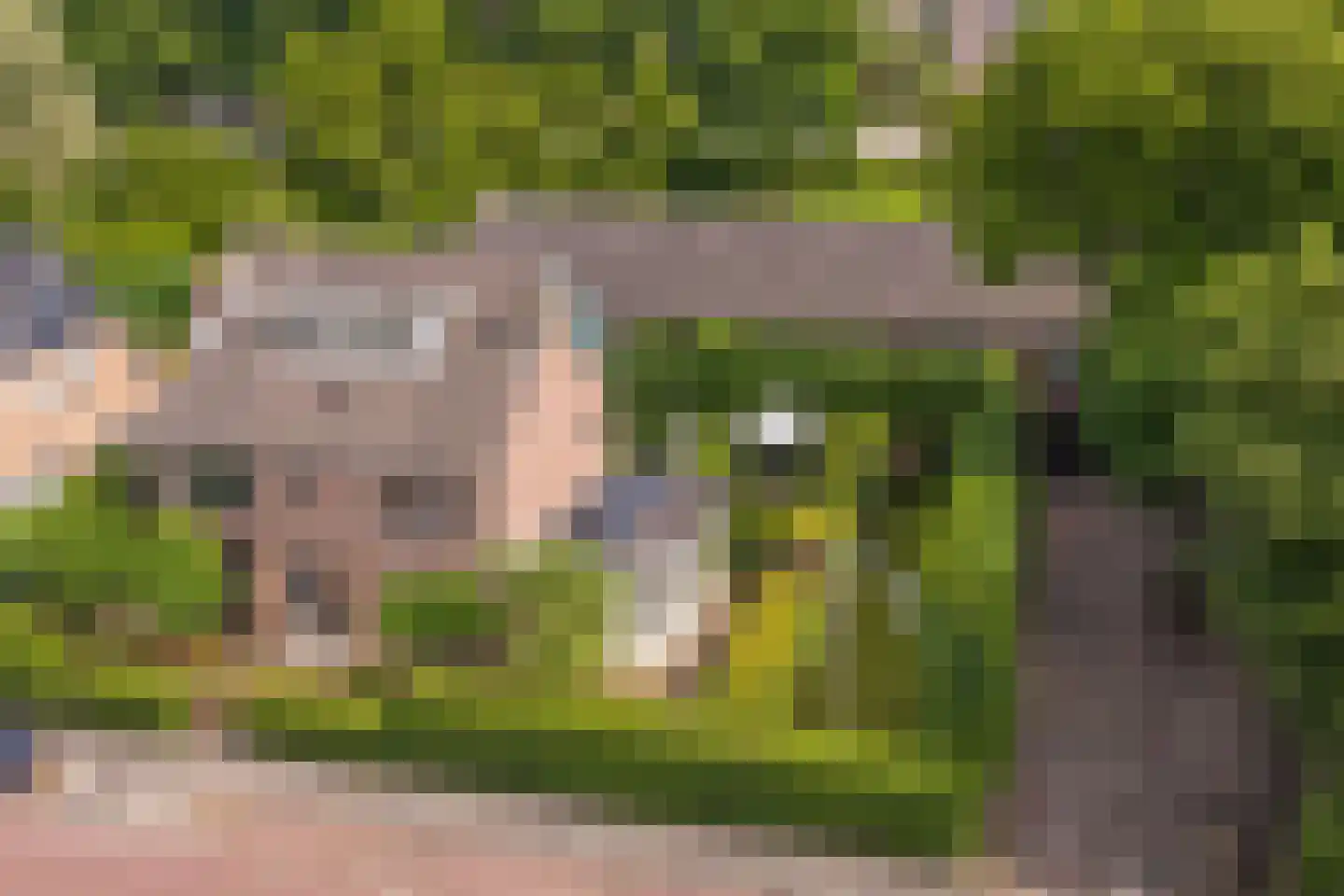 Kuikensweg 20 Beverwijk thumbnail 6