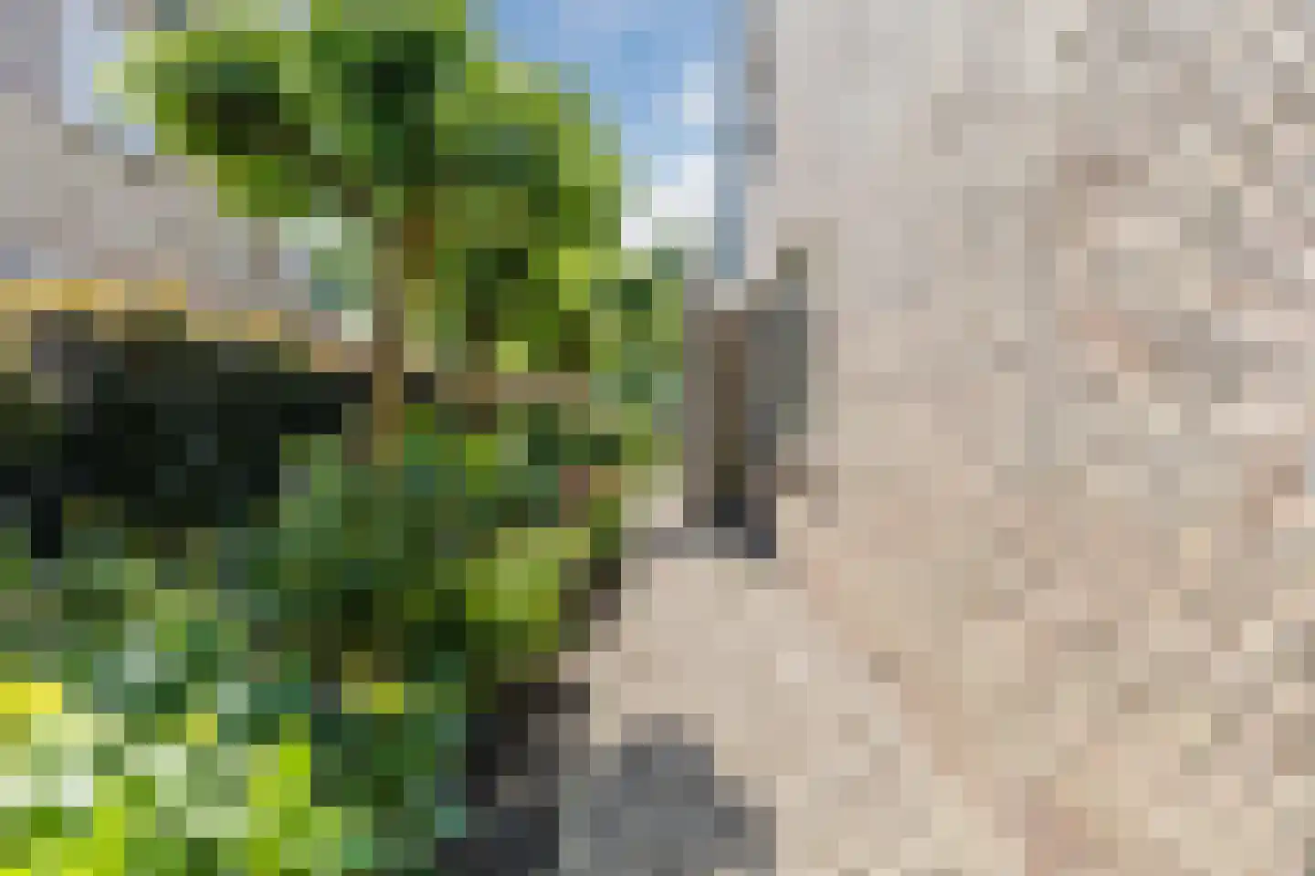 Kuikensweg 20 Beverwijk thumbnail 62