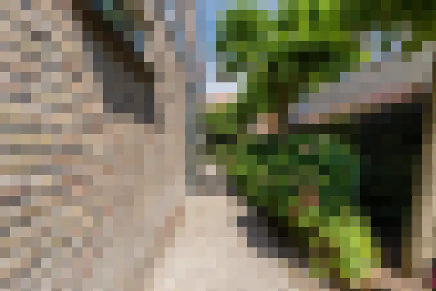 Kuikensweg 20 Beverwijk thumbnail 66